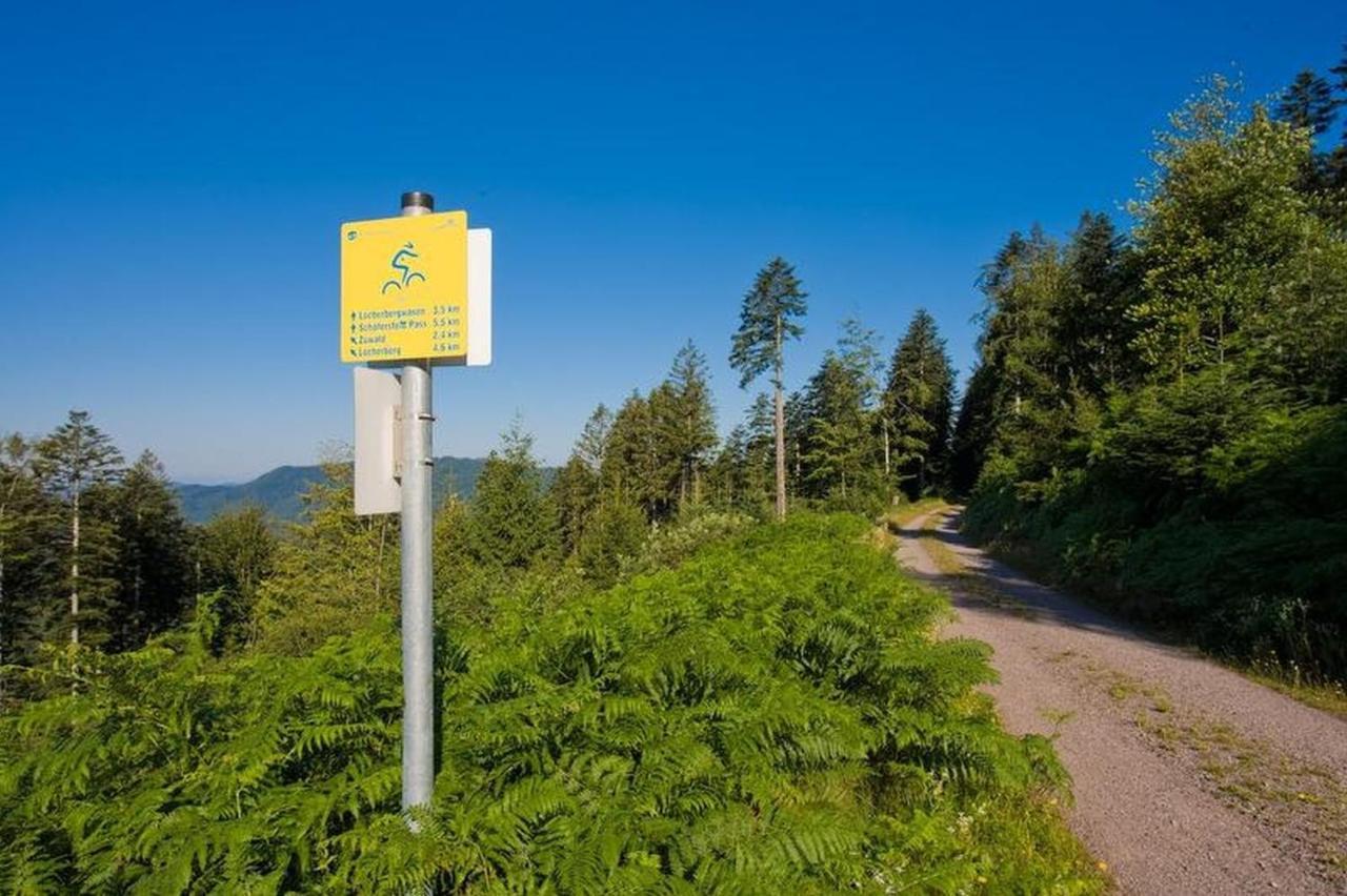 Ferienwohnung Schoener Oberharmersbach Luaran gambar