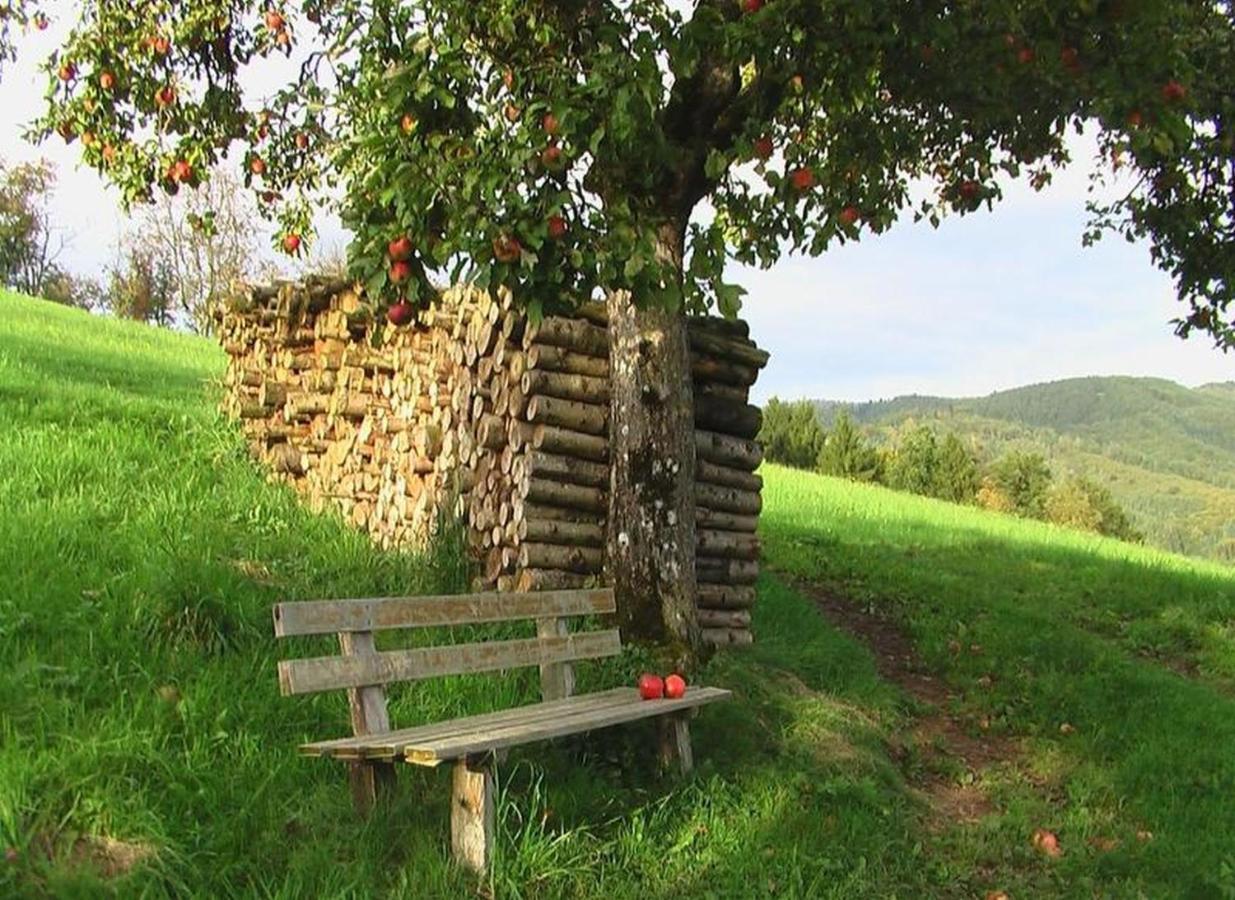 Ferienwohnung Schoener Oberharmersbach Luaran gambar