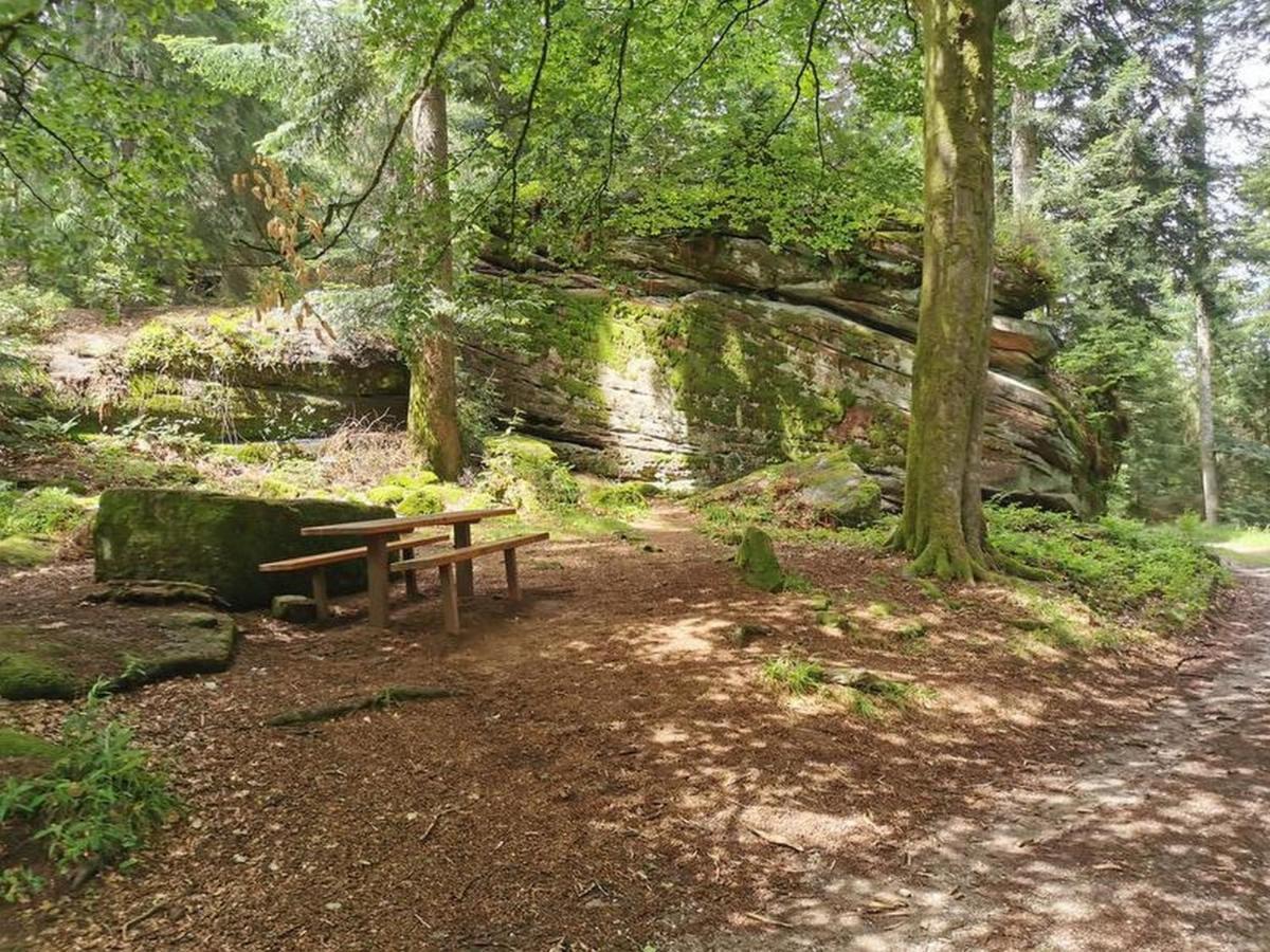 Ferienwohnung Schoener Oberharmersbach Luaran gambar
