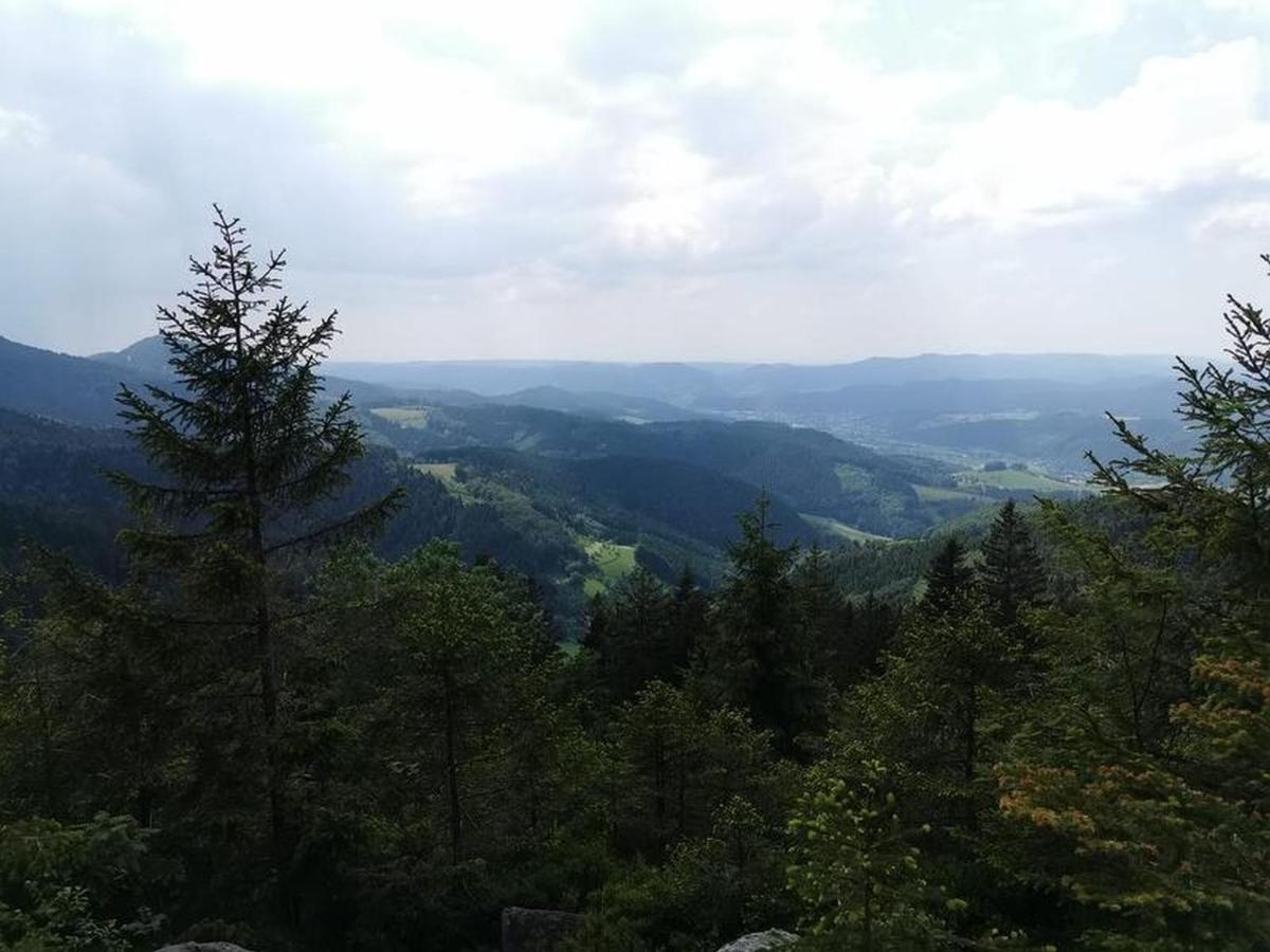 Ferienwohnung Schoener Oberharmersbach Luaran gambar