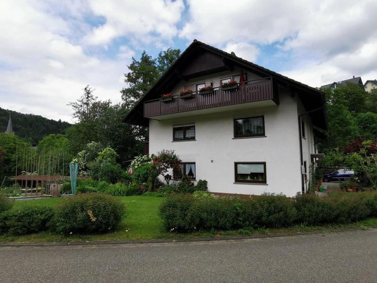 Ferienwohnung Schoener Oberharmersbach Luaran gambar