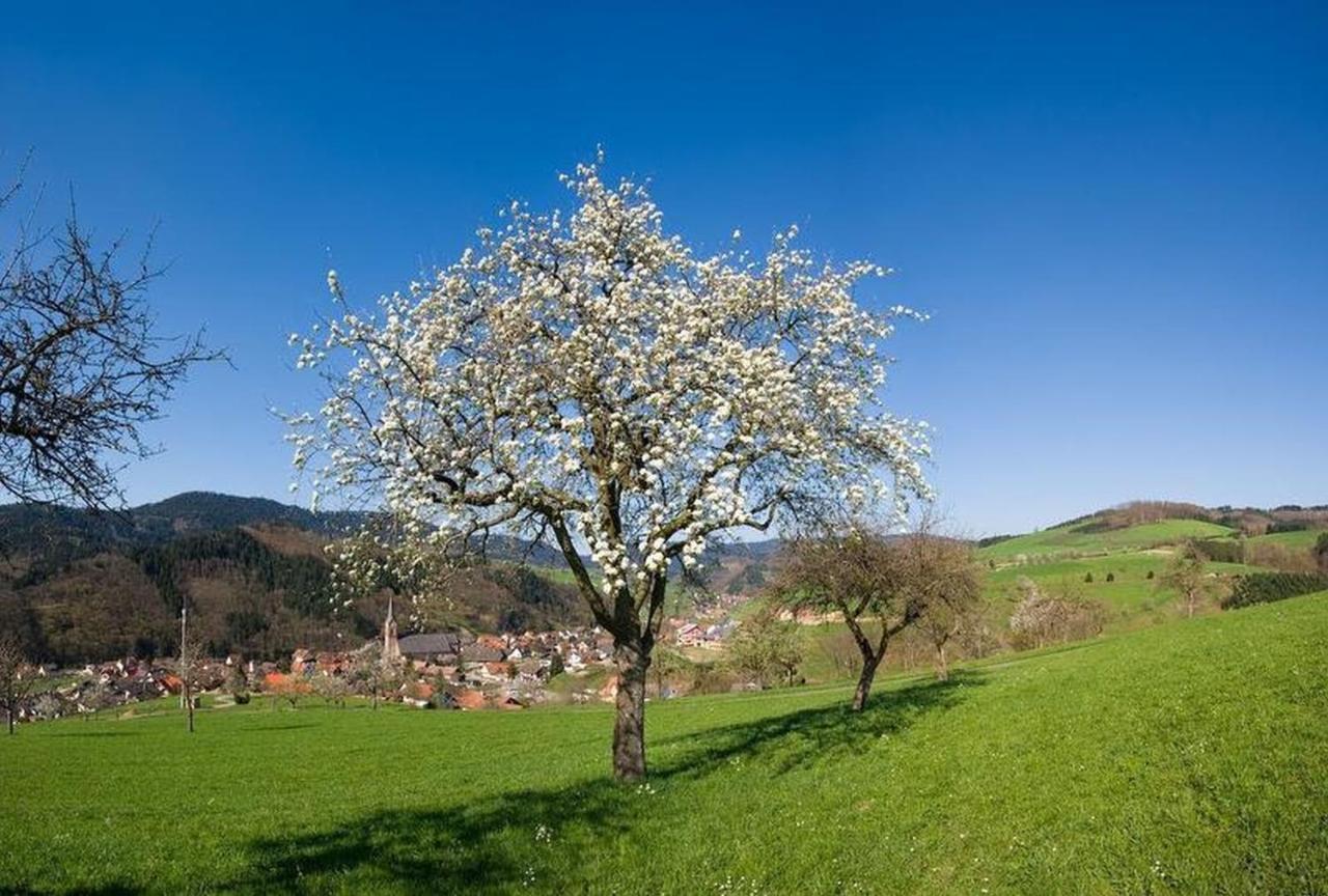 Ferienwohnung Schoener Oberharmersbach Luaran gambar