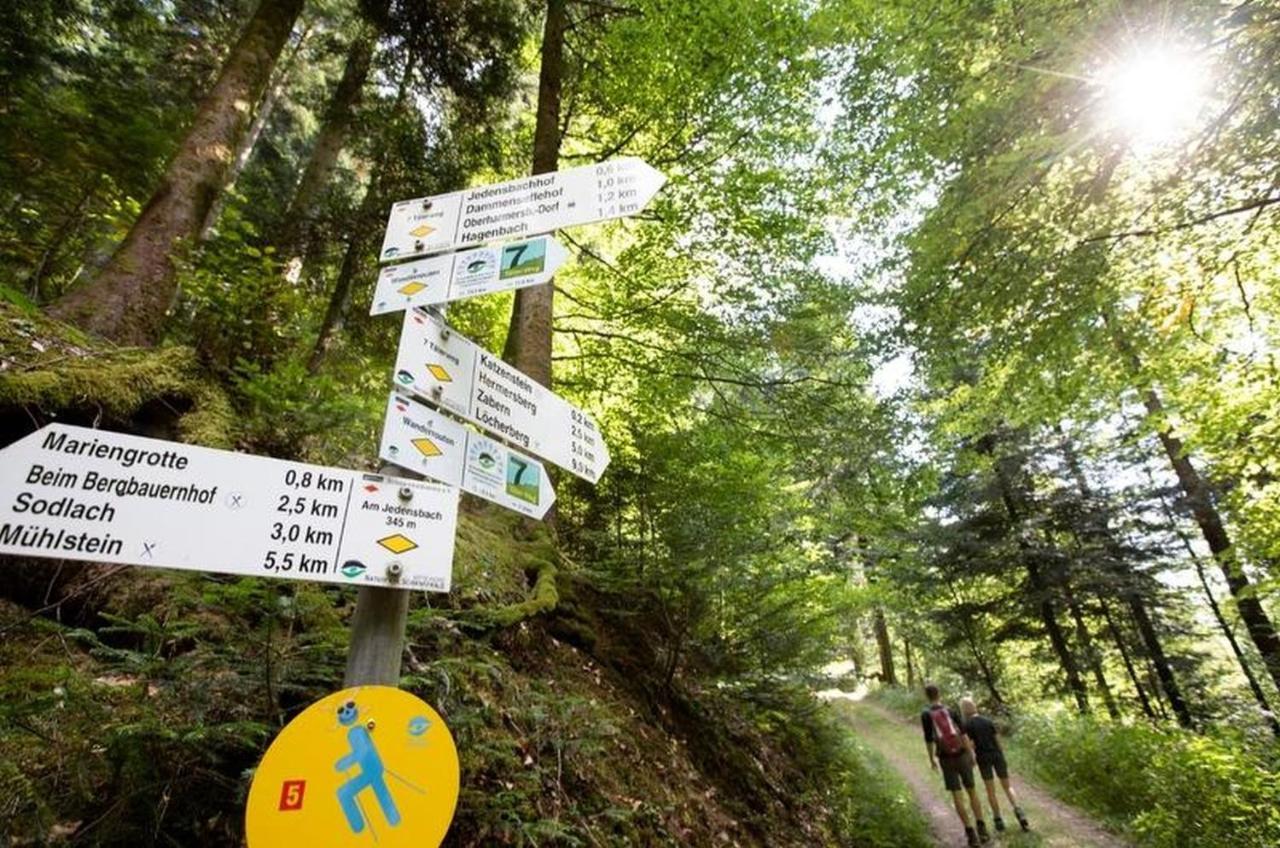 Ferienwohnung Schoener Oberharmersbach Luaran gambar